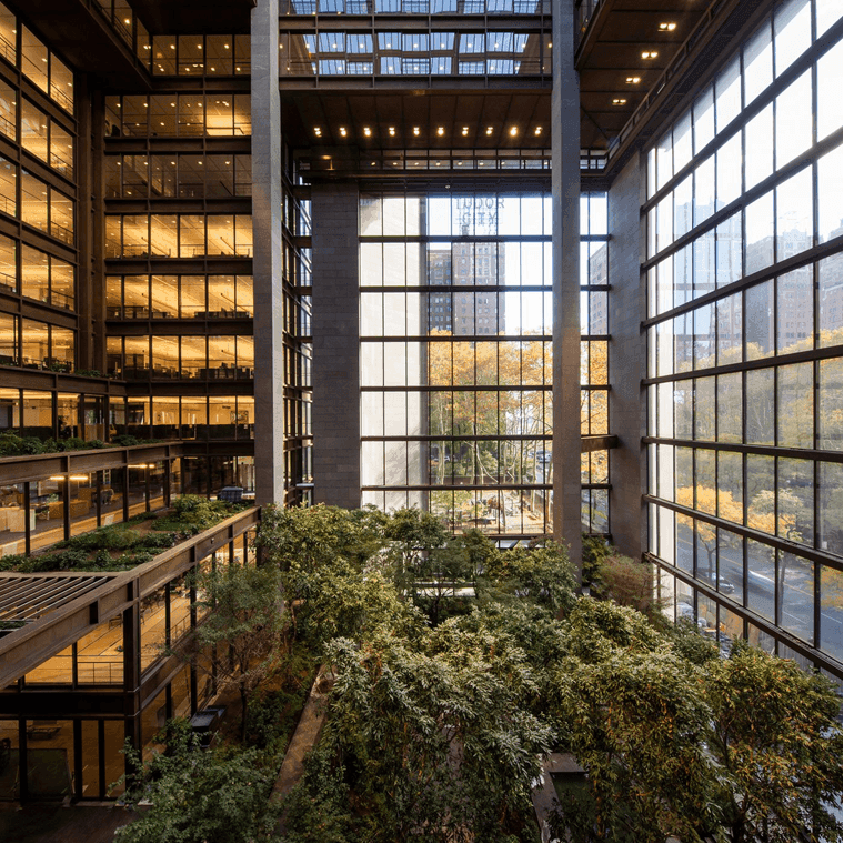 The Ford Foundation